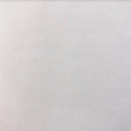 Ballet Net - White
